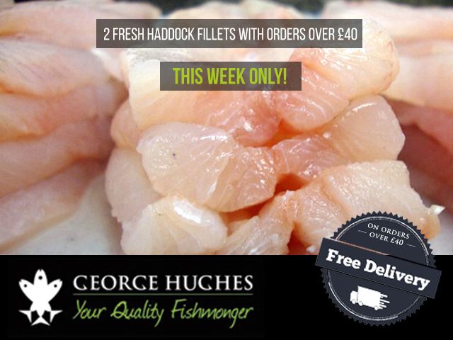 Haddock-Offer-Blog