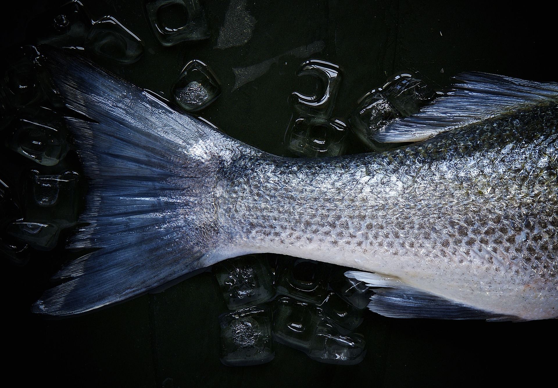 How to scale a fish without a scaler - George Hughes Fishmonger