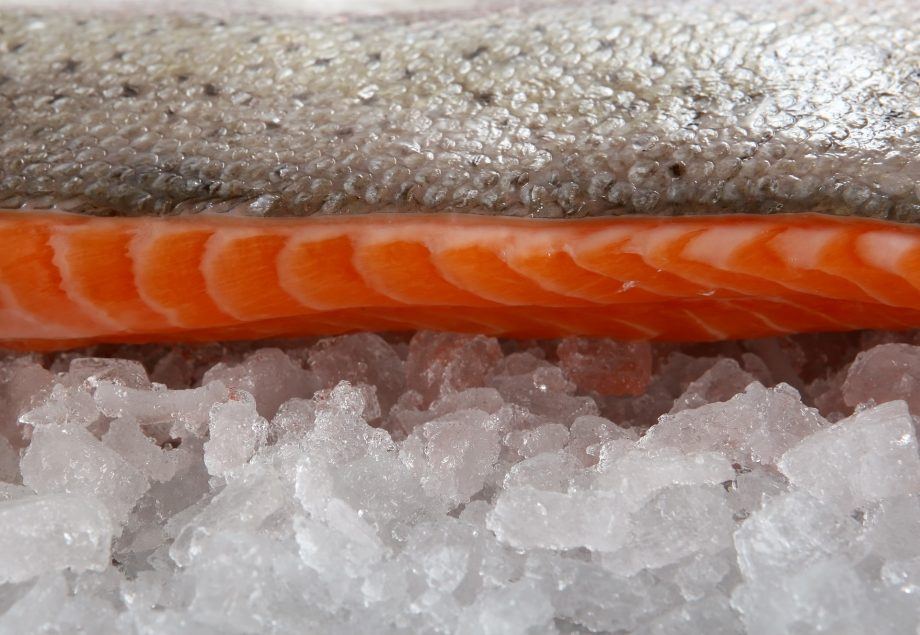 salmon on ice