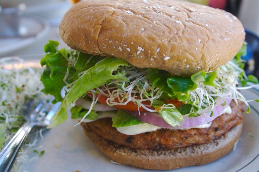 Salmon burger