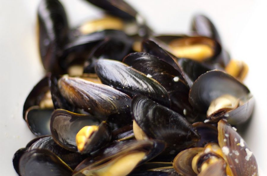 steamed mussels